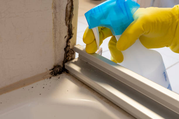 Best Water Damage Restoration  in Moroni, UT