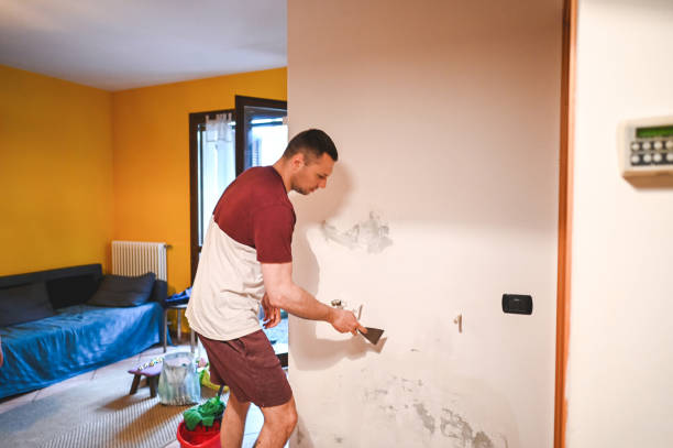 Best Mold Removal Near Me  in Moroni, UT